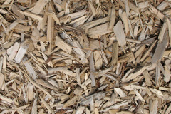 biomass boilers Trer Ddol