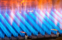Trer Ddol gas fired boilers